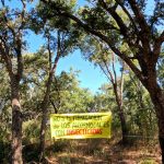 Agaden pide a la Junta que no fumigue Los Alcornocales con insecticidas
