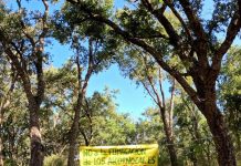 Agaden pide a la Junta que no fumigue Los Alcornocales con insecticidas