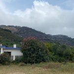 Agaden pide aclarar los aspectos “oscuros” de este grave y devastador incendio forestal de Tarifa
