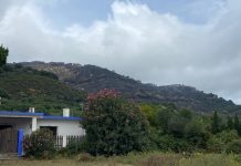 Agaden pide aclarar los aspectos “oscuros” de este grave y devastador incendio forestal de Tarifa