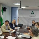 El Subdelegado y la Delegada Territorial de Industria abordan con Cepsa su proyecto andaluz del hidrógeno verde
