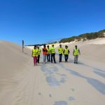 La Junta retira arena de la carretera A-2325, desde la N-340 a Punta Paloma en Tarifa