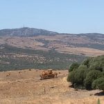 Agaden alerta de posible incendio por el uso de maquinaria pesada en la Dehesa de Las Piñas en Tarifa