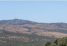 Agaden alerta de posible incendio por el uso de maquinaria pesada en la Dehesa de Las Piñas en Tarifa