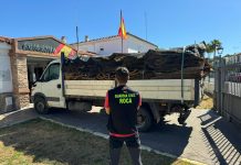 La Guardia Civil interviene 16.000 kilos de corcho sustraídos en diferentes explotaciones forestales del Campo de Gibraltar