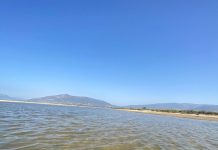 Agaden denuncia por la aparición de peces muertos en la laguna del paraje de Los Lances