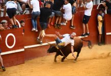 FOTOS | El Toro del Aguardiente 2024, con mucha diversión y sin incidentes