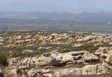 El alcalde de San Roque exige a la Junta de Andalucía transparencia y los datos del adjudicatario del estudio para la mina en San Roque