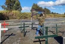 Verdemar denuncia que los aguacates en secano del río Guadiaro y sus afluentes roban el agua a un equivalente de 40.000 habitantes al año