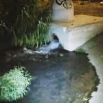 Verdemar denuncia que este fin de semana los linenses se bañaron en aguas residuales al este de Gibraltar