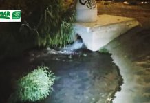 Verdemar denuncia que este fin de semana los linenses se bañaron en aguas residuales al este de Gibraltar
