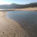 Verdemar presentará alegaciones al Plan de Explotación de las playas de Algeciras