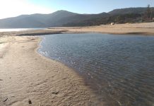 Verdemar presentará alegaciones al Plan de Explotación de las playas de Algeciras