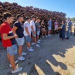 Comienza el nuevo curso de técnico auxiliar en operaciones de descorche en Castellar