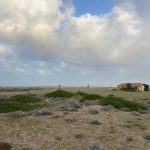 Agaden alerta sobre las amenazas a la biodiversidad y al valor ecológico de la playa de Guadalquitón