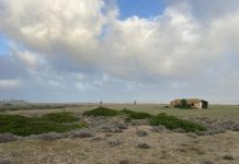 Agaden alerta sobre las amenazas a la biodiversidad y al valor ecológico de la playa de Guadalquitón