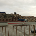 Verdemar EA denuncia que Gibraltar acumula ya casi 10.000 Tn de piedra de escollera para crecer en la Zona de Especial Conservación del Estrecho Oriental