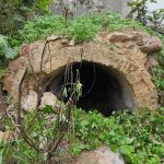 Recuperación y preservación para la Noria del Huerto del Cura
