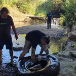 Verdemar Ecologistas en Acción denuncia que el río Pícaro “se muere sin que la Administración ponga freno a los impactos que recibe”