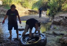 Verdemar Ecologistas en Acción denuncia que el río Pícaro “se muere sin que la Administración ponga freno a los impactos que recibe”