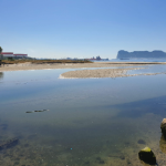 Verdemar pide la recuperación de los humedales existentes en la Bahía de Algeciras y en especial el río Guadarranque
