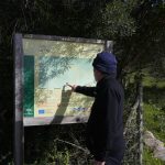 Los Alcornocales, el primero de la red de espacios naturales protegidos de Andalucía en número de servicios certificados