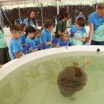 Fundación Moeve celebra una jornada de concienciación ambiental de la mano de la Junta de Andalucía