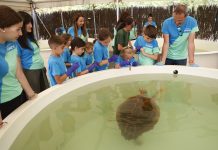 Fundación Moeve celebra una jornada de concienciación ambiental de la mano de la Junta de Andalucía