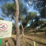 Emergencias de Andalucía informa de la prohibición de barbacoas y quemas agrícolas en espacios forestales