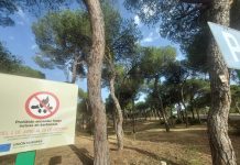 Emergencias de Andalucía informa de la prohibición de barbacoas y quemas agrícolas en espacios forestales