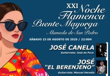 En marcha la XXI Noche Flamenca de Puente Mayorga