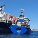 Verdemar acusa a Gibraltar de ocupar ilegalmente el 20 % de la Zona de Especial Conservación del Estrecho Oriental