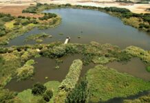 La Estación Ambiental Madrevieja se consolida como refugio para especies amenazadas
