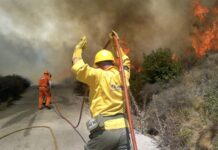 Verdemar Ecologistas en Acción expresa su apoyo a los retenes del Infoca en la provincia de Cádiz
