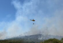 El incendio forestal declarado en Pasada Honda obliga al desalojo preventivo de varias viviendas