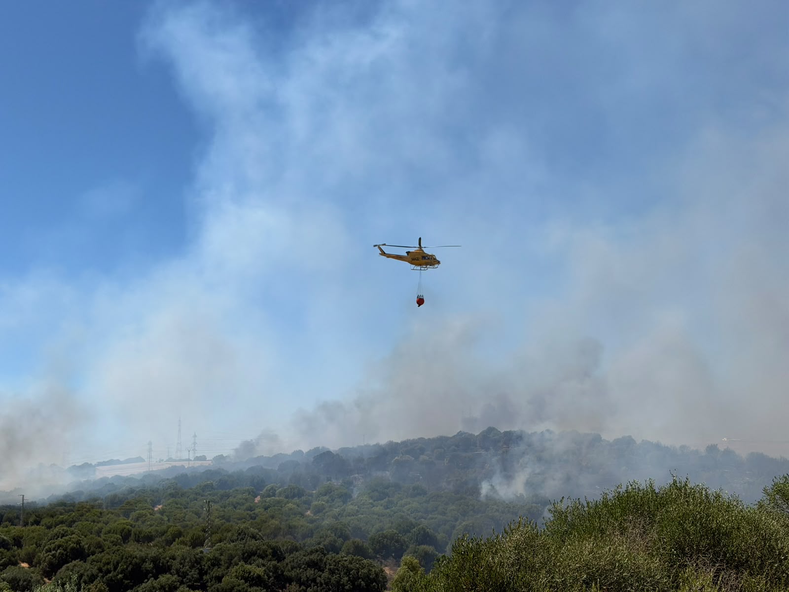 2026 incendio forestal7