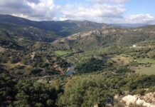 Los Alcornocales, un laboratorio natural donde Andalucía ensaya soluciones frente al cambio climático
