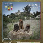 El perro de agua español, de concentración en Castellar de la Frontera
