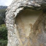 Nieto denuncia la situación de desprotección de las pinturas rupestres de la Cueva de Bacinete