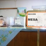 Más de un millón de electores pueden votar en Cádiz para elegir a sus diputados y senadores