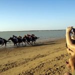 173 veranos galopando en las playas de Sanlúcar de Barrameda